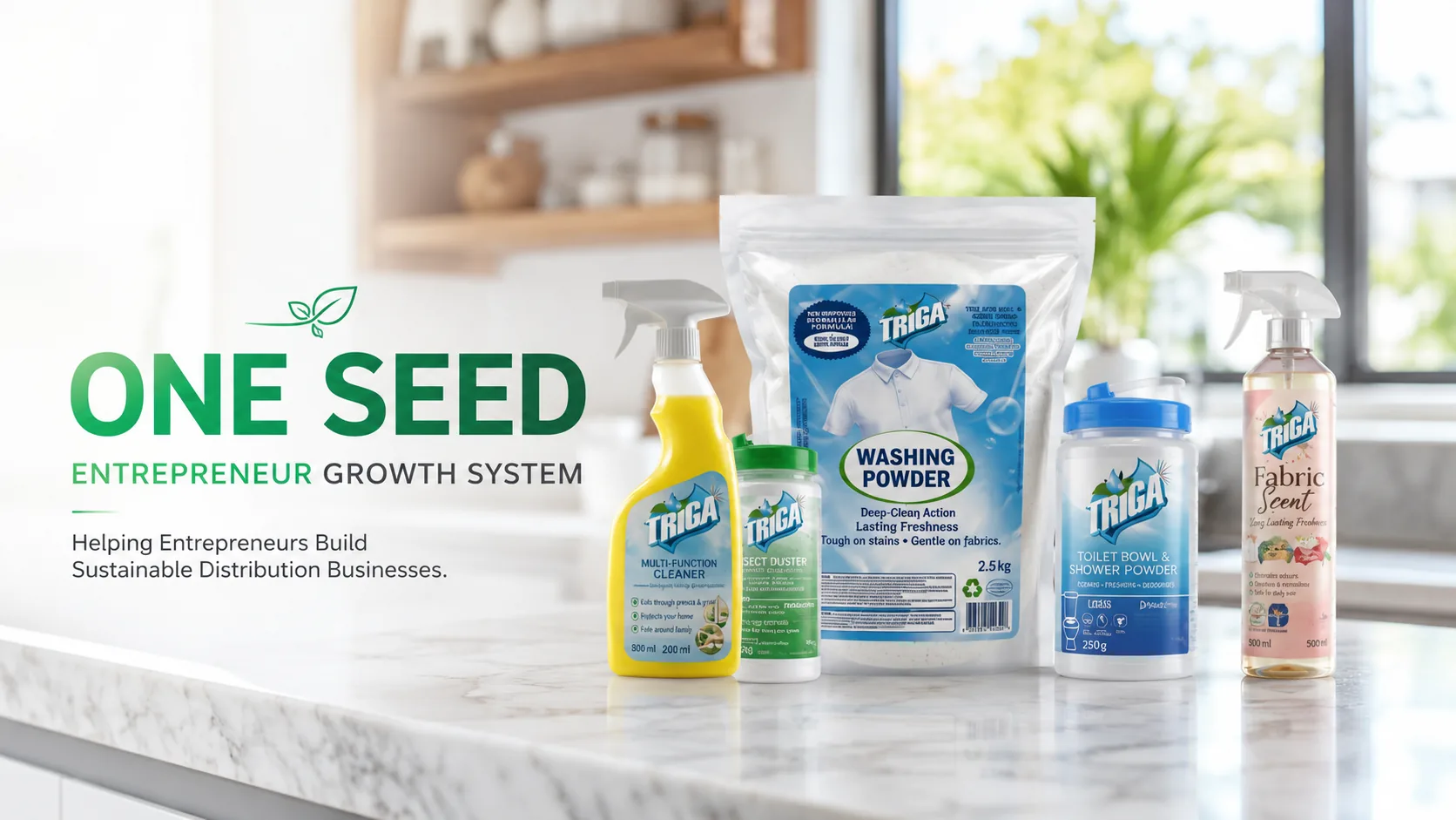 One Seed entrepreneur growth system graphic with product packaging displayed on a countertop.